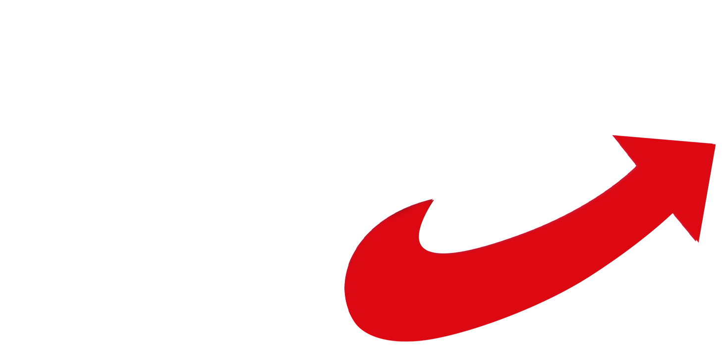 AfD Fraktion Königswinter Logo weiß